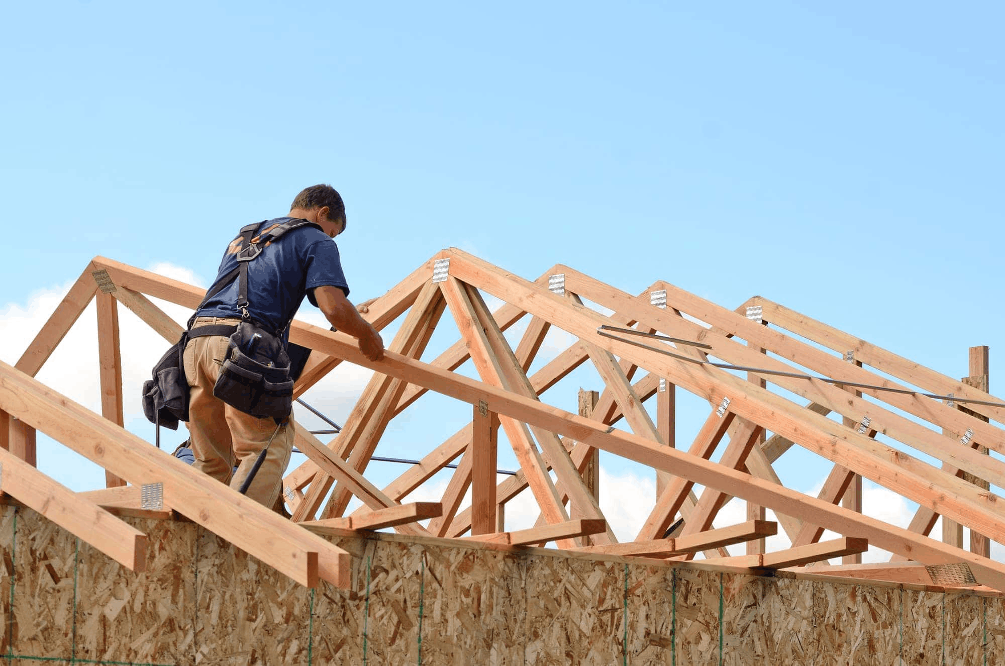 Framing & Structural Support