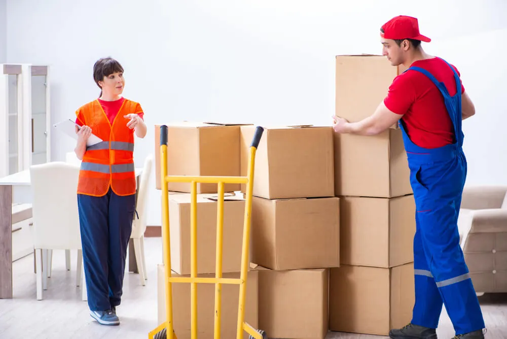Storage Support Services